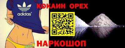 твердый Сланцы
